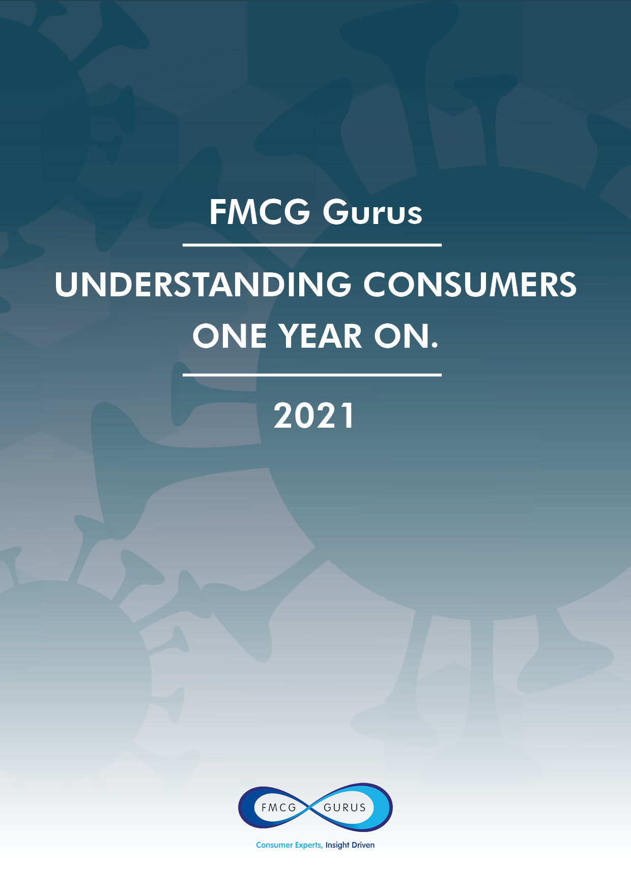 Understanding Consumers One Year On Report Image
